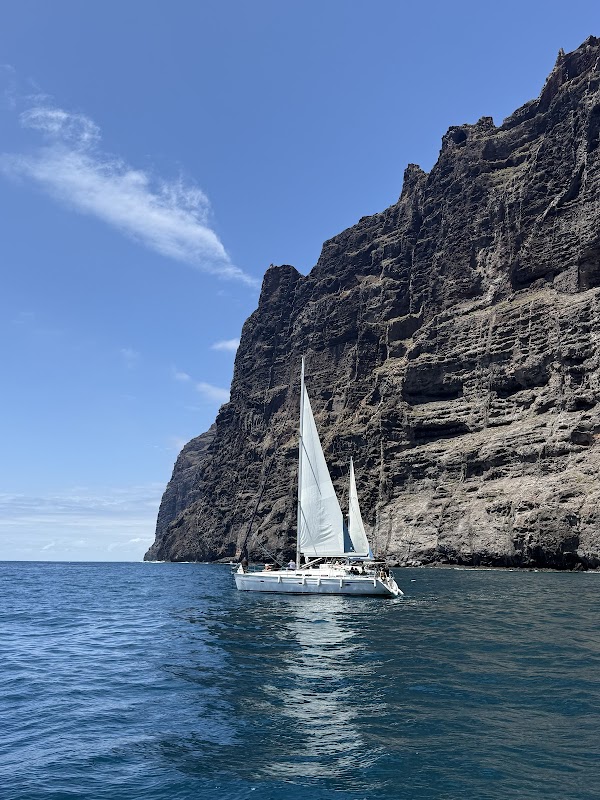 Whale Watching Tour from Los Gigantes