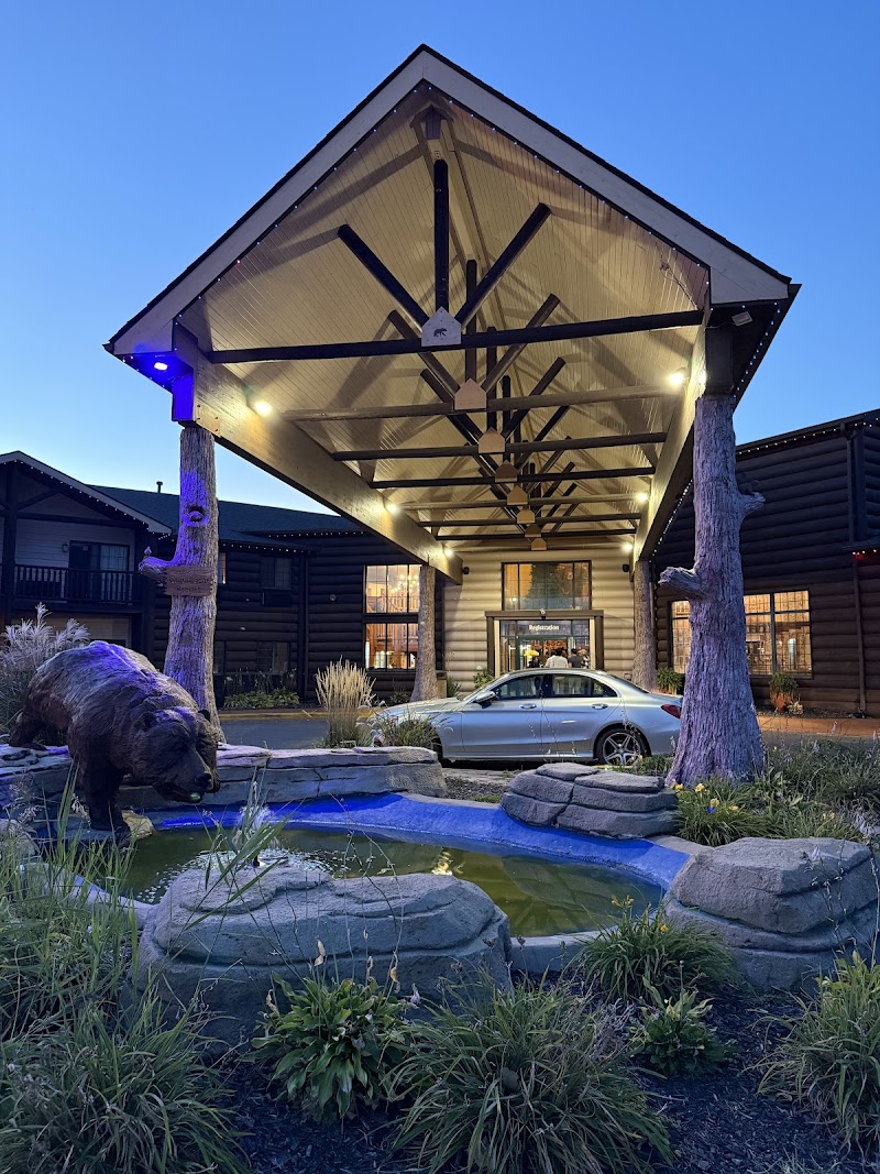 Treetops Cafe photo 3