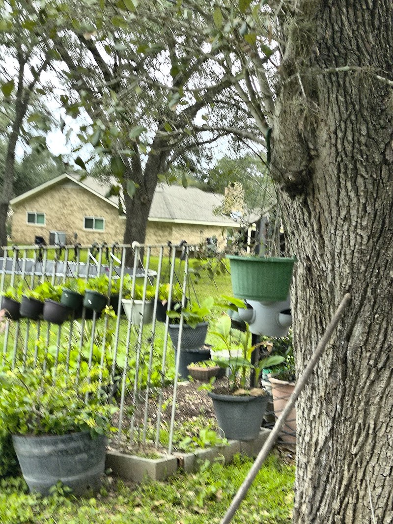 Đời thường Carter Family photo 2