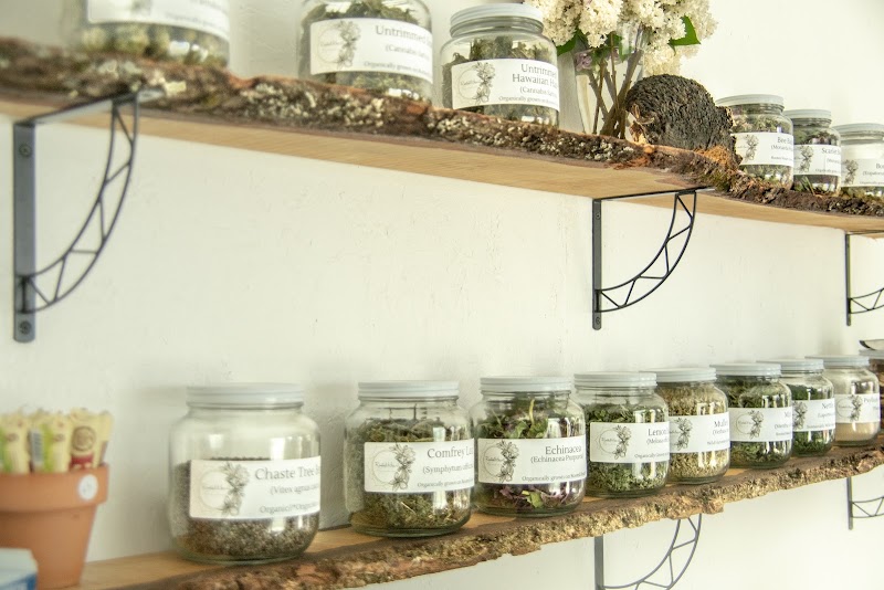 Rooted Heart Cafe & Apothecary photo 1