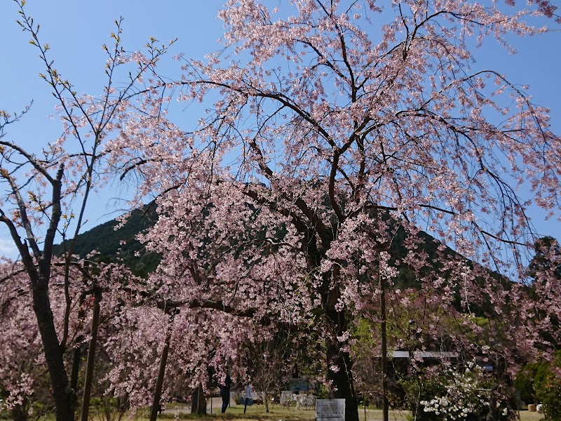 滋賀県立三上山公園（野洲市）