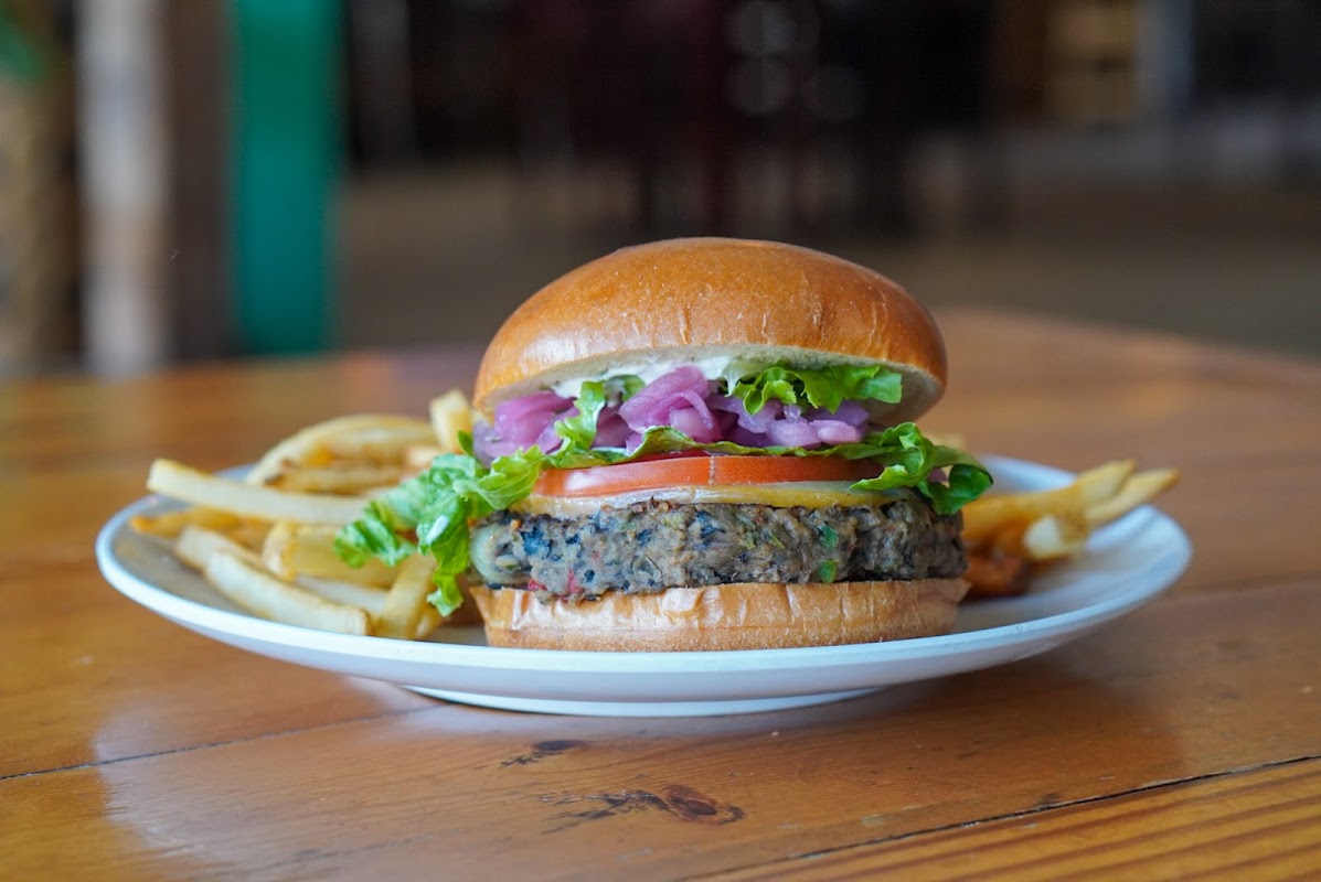 Bohemian Bull photo 3