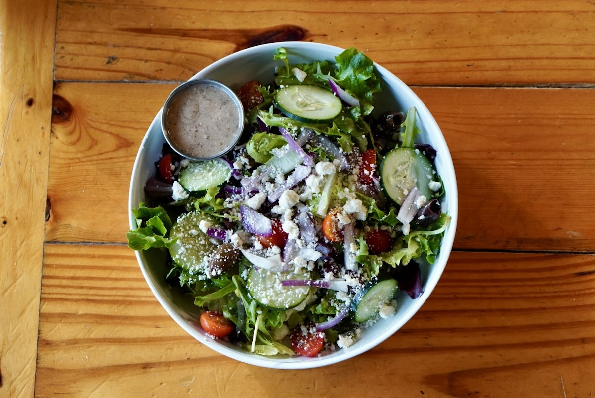 Bohemian Bull photo 4