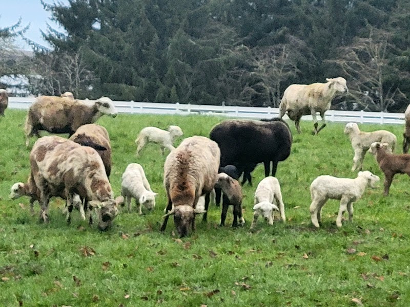 Woodhaven Lakeside Ranch