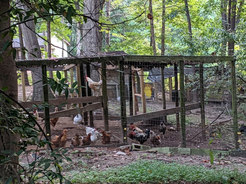 Carver Game Farm & Poultry - Photo 4