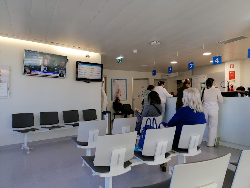 Gallery 5