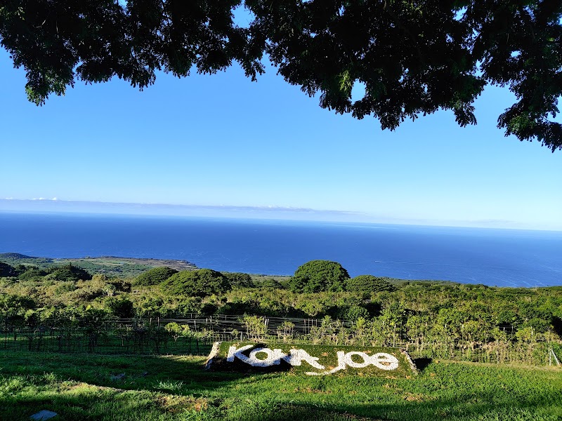 Kona Joe Coffee LLC photo 3