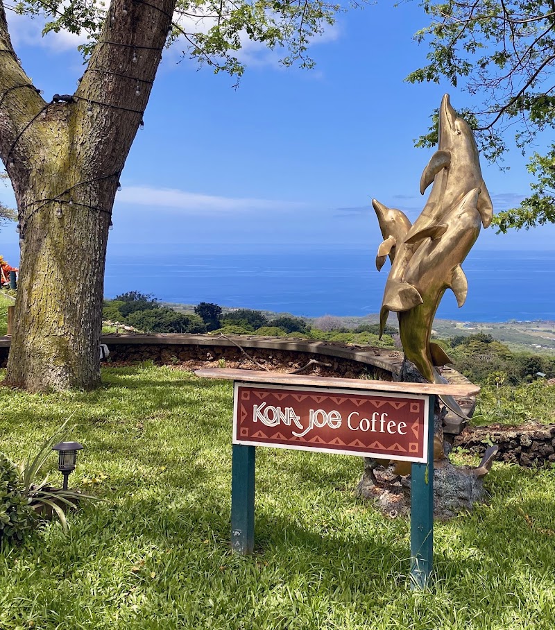 Kona Joe Coffee LLC photo 1