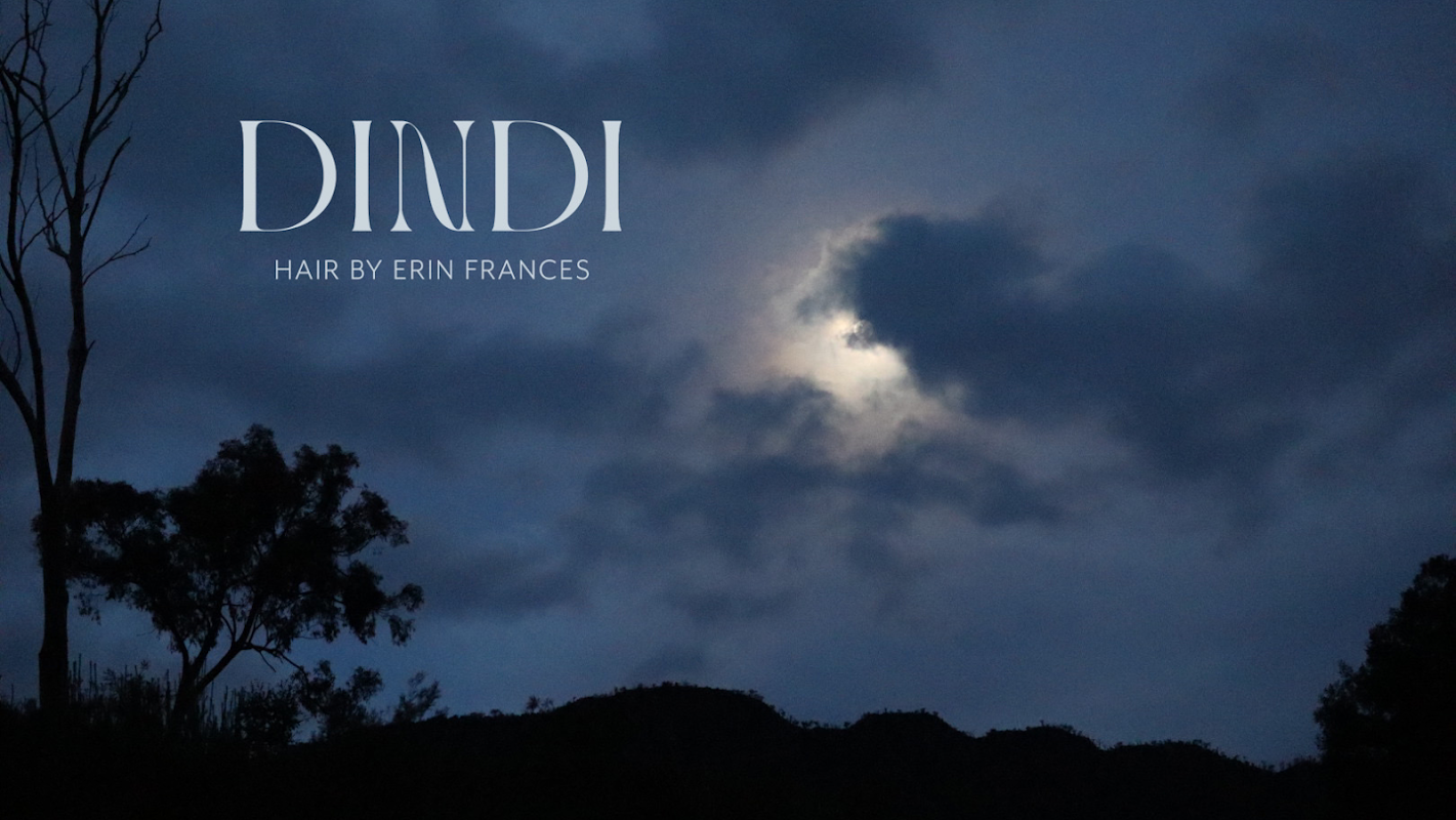 Dindi Hair photo 1