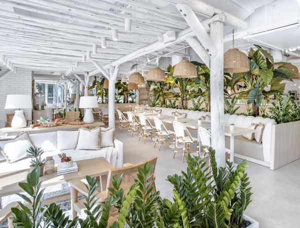 Pura Vida Miami