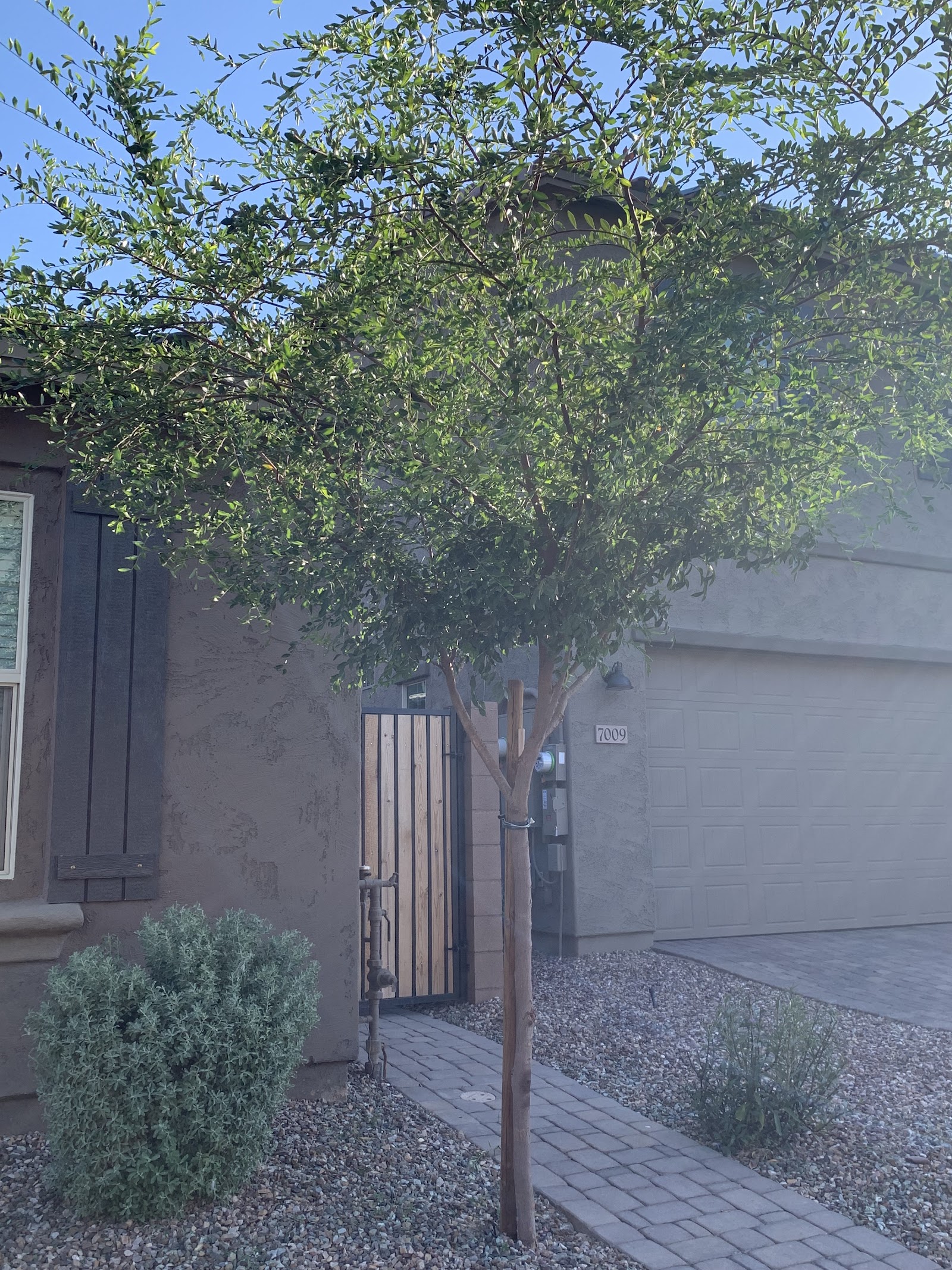 Jay's Lawns LLC photo 5