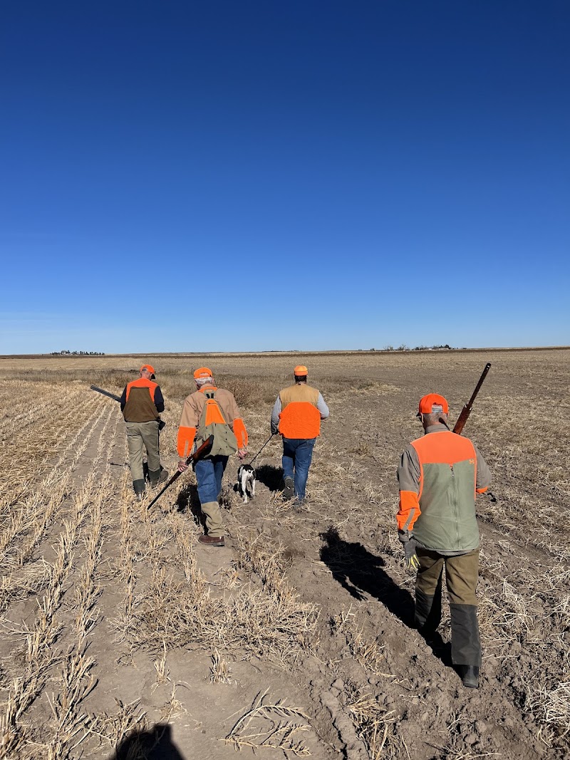 High Plains Ringnecks - Photo 3