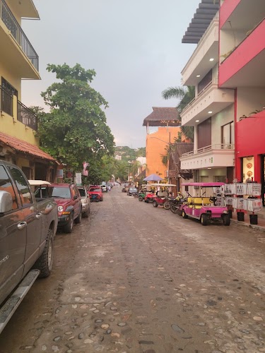 EL 55 SAYULITA