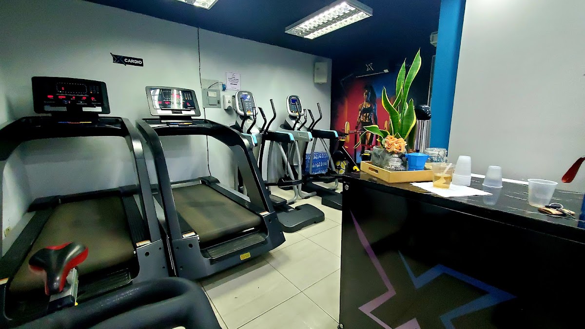 X Factor Gym - Imagen 1