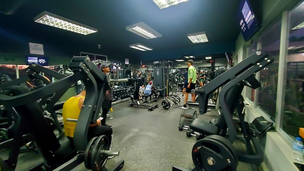X Factor Gym - Imagen 3