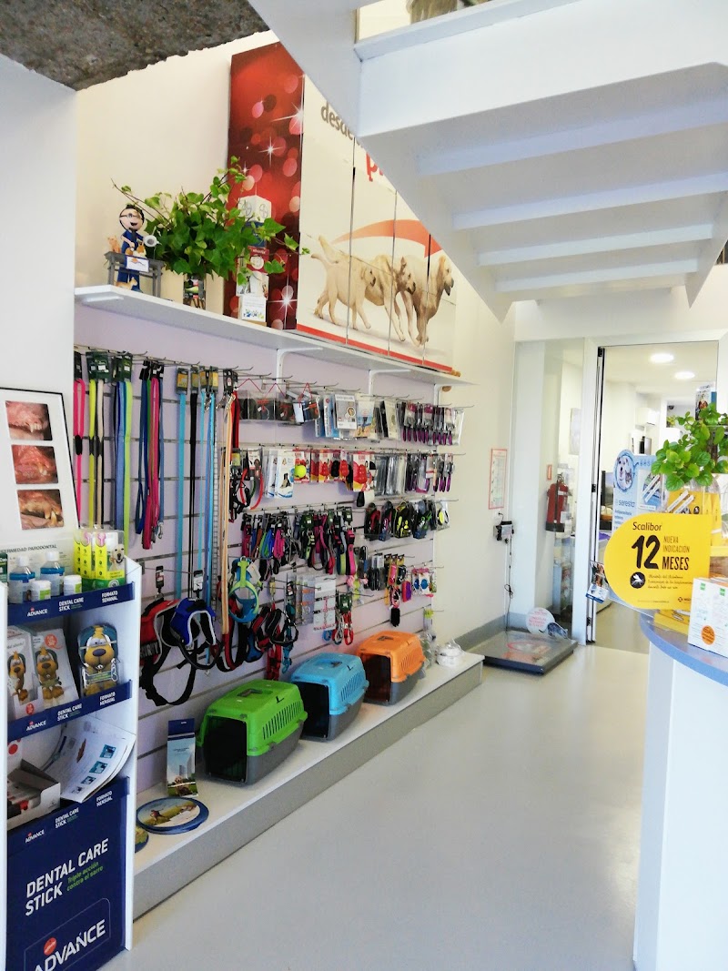 OCÉANO Clínica Veterinaria