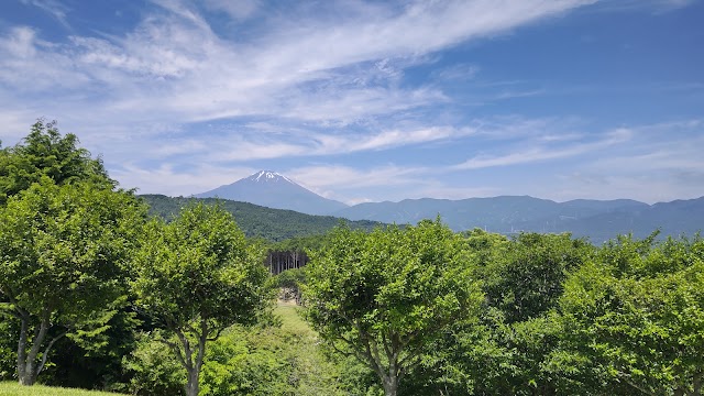 Olympic National Golf Club Sakawa Course - Photo 5