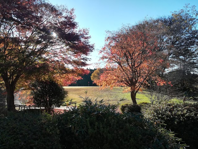 Miyagi Country Club - Photo 4