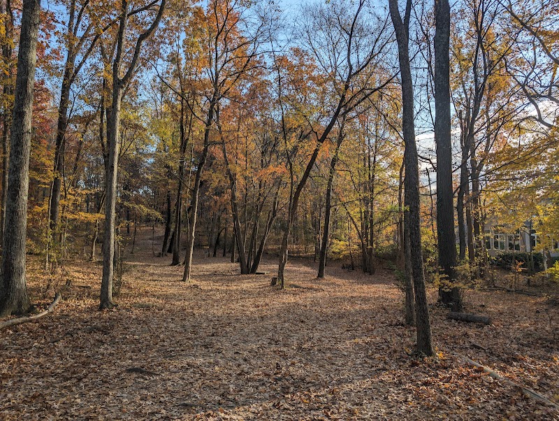Johnson Street Disc Golf Park photo 1