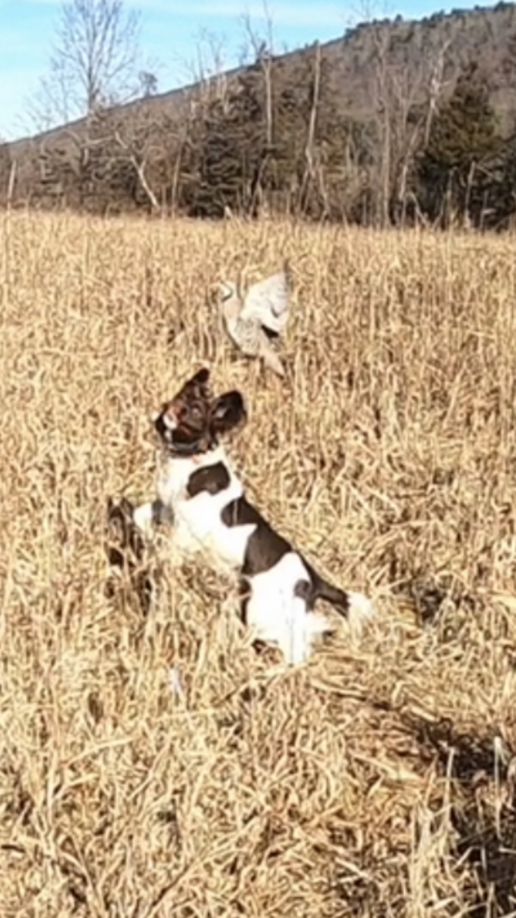 Double JK Ranch - Photo 6
