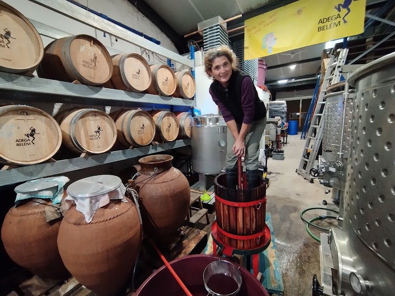 Adega Belém Urban Winery