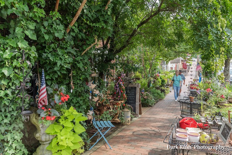 Coffee Break photo 4