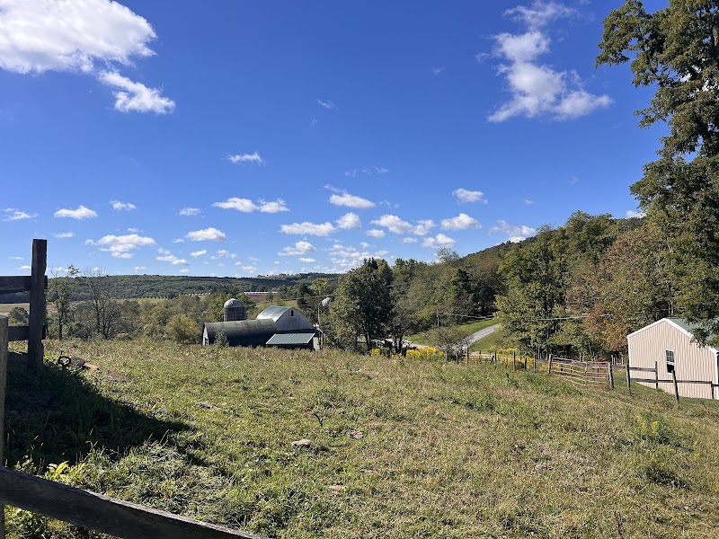 Circle R Ranch - Photo 4