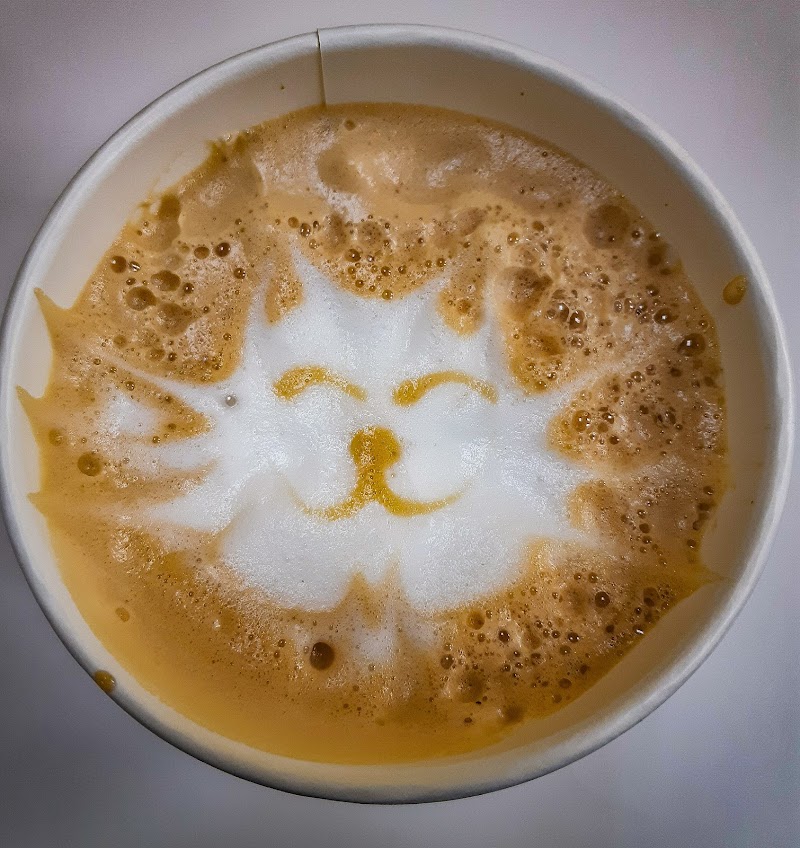 My Kitty Cafe photo 4