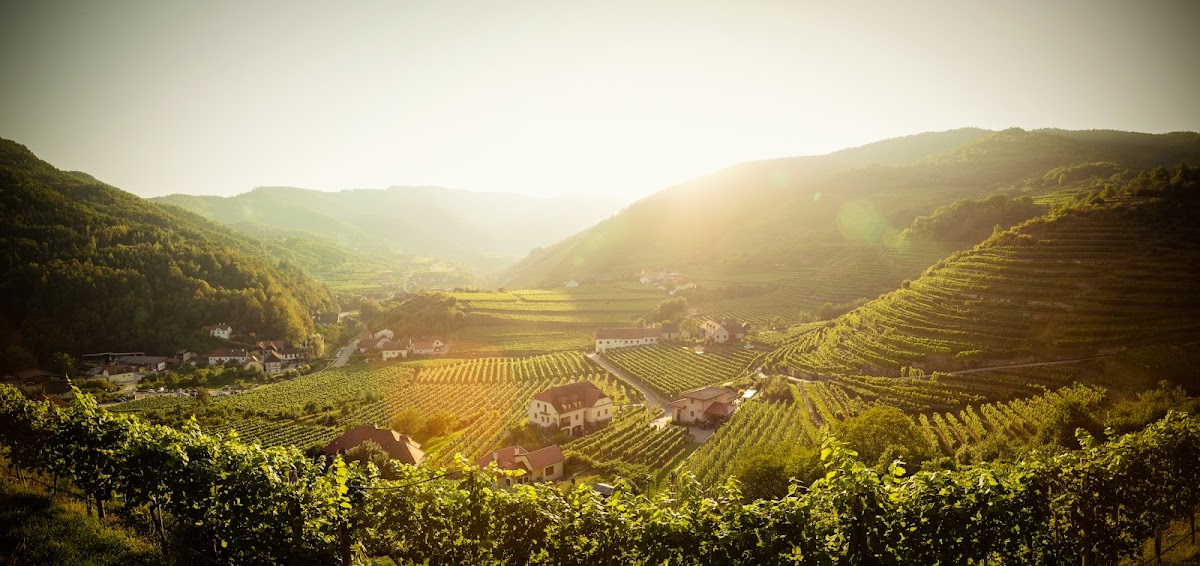 Weingut Johann Donabaum