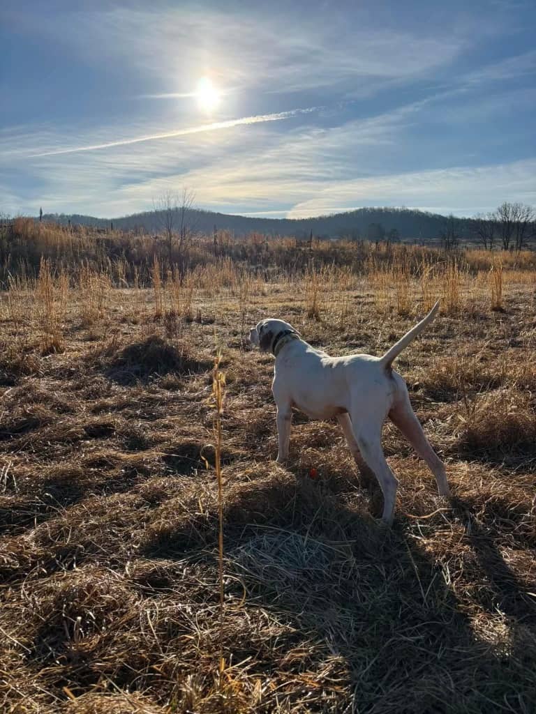 Sanctuary Ranch Hunting Resort - Photo 1