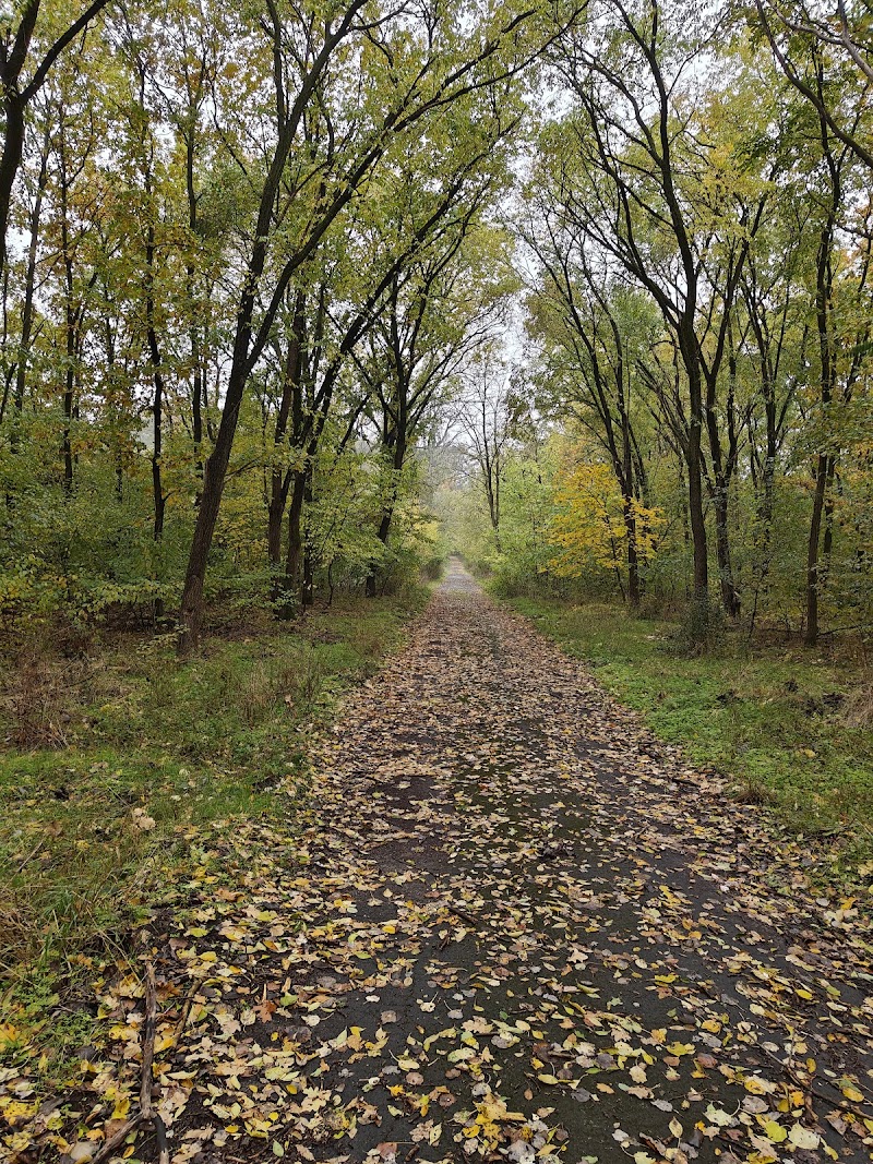 Debreceni Nagyerdő Természetvédelmi terület