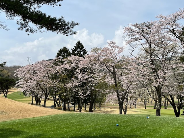 Fuji Oyama Golf Club - Photo 10
