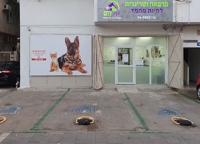סיטיוט cityvet ד'ר גבי אלשייך