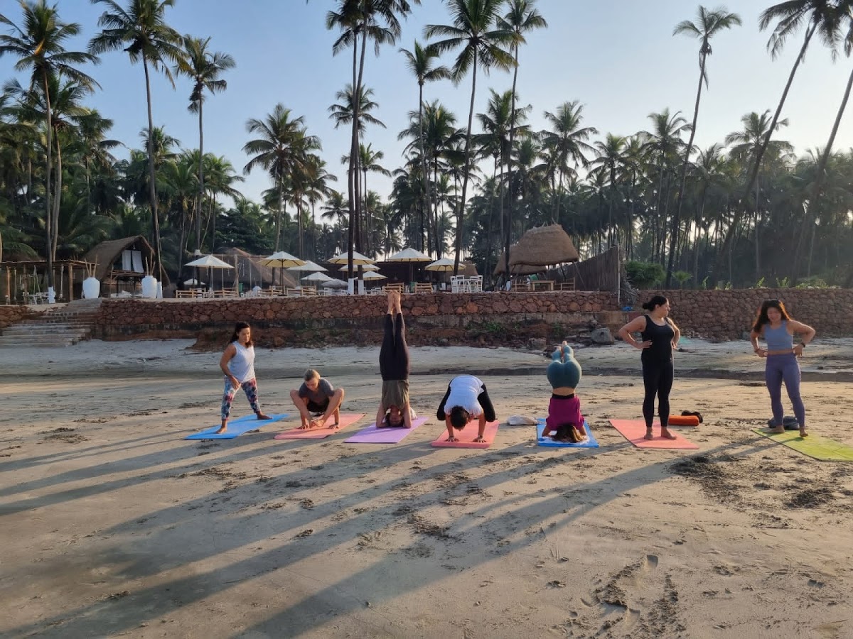 Oceanic Yoga International - Yoga & Meditation Teacher Training in Goa — 3