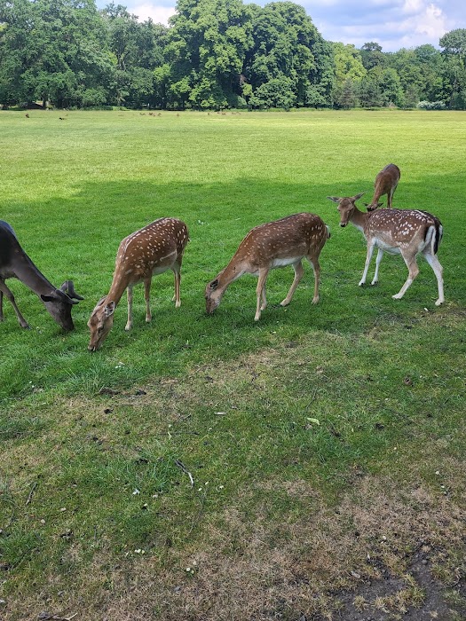 Lindenthaler Tierpark fotoğraf 1