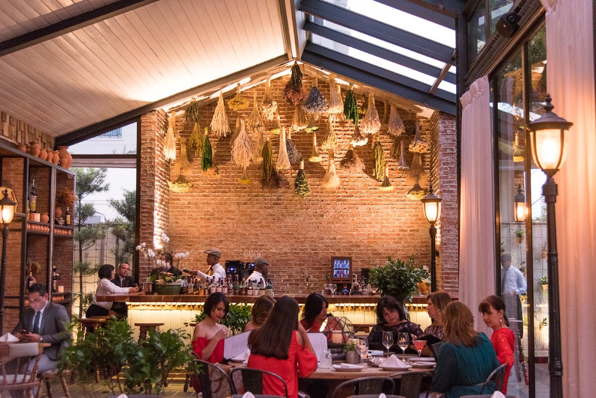 Laurel in santo-domingo