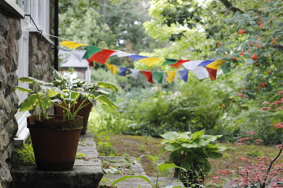 Tiratanaloka Buddhist Retreat Centre — 4