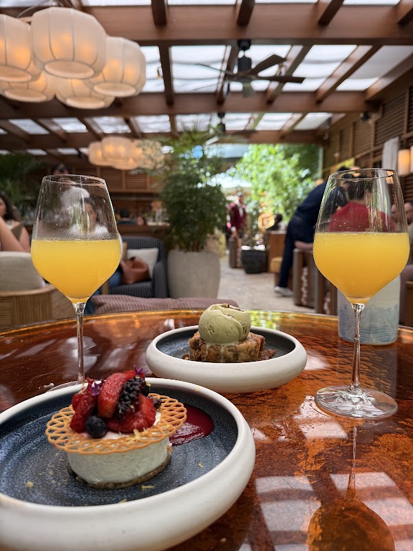 AVA MediterrAegean Coconut Grove photo 3