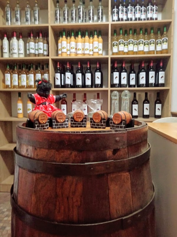 Bodega turística de piscos y vinos Tierra del Sol