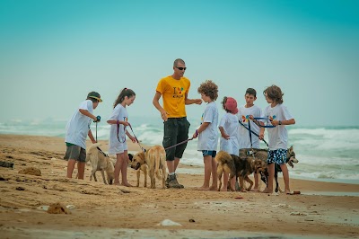 סנטרל בארק מרכז הכשרה כלבני, פנסיון ואילוף כלבים