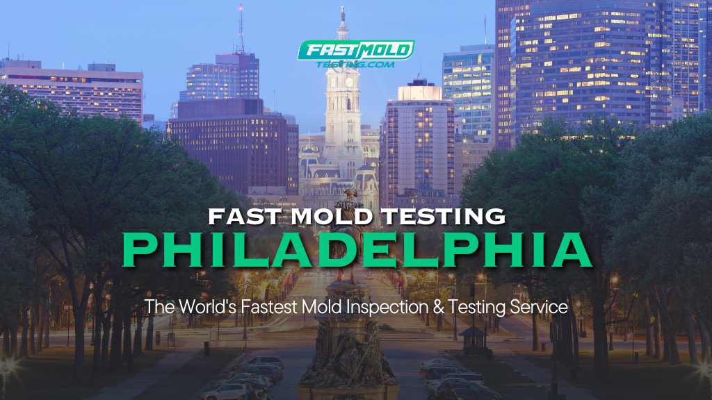 Fast Mold Testing - Philadelphia — photo