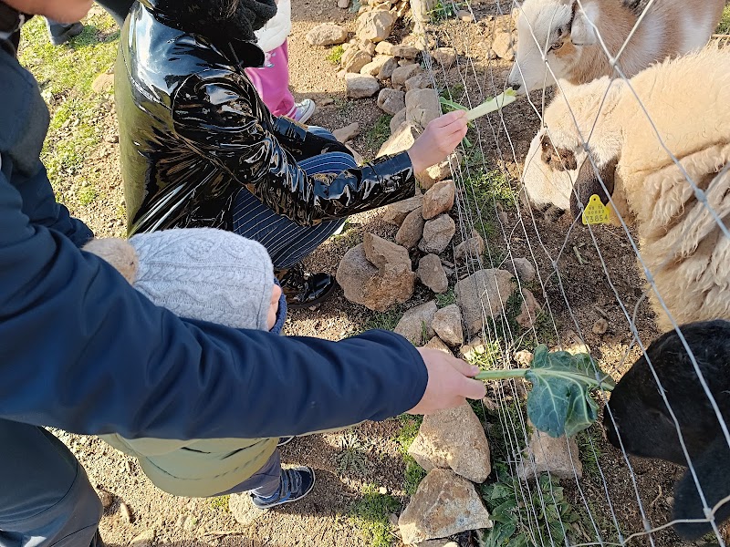 Granja Monte Holiday