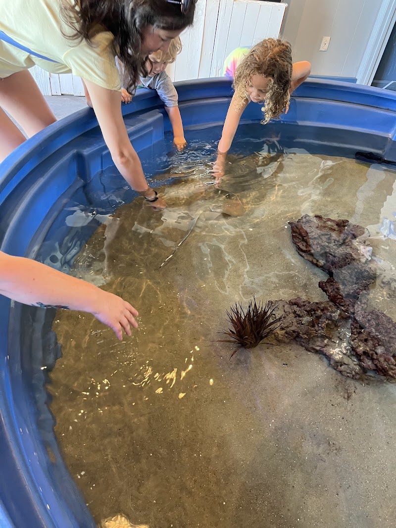 Topsail Aquarium