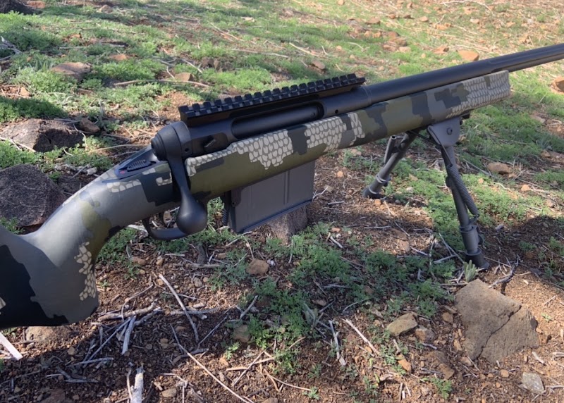 Animals Guns photo