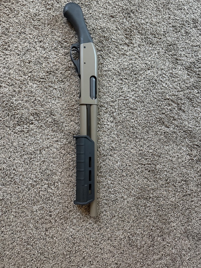 Animals Guns photo