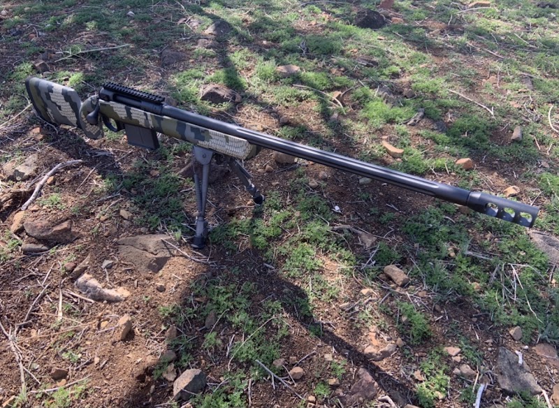 Animals Guns photo