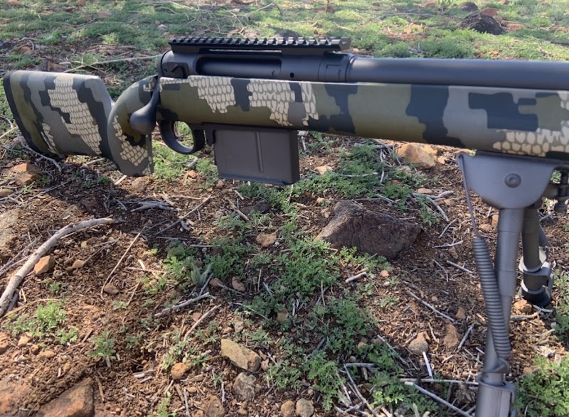 Animals Guns photo