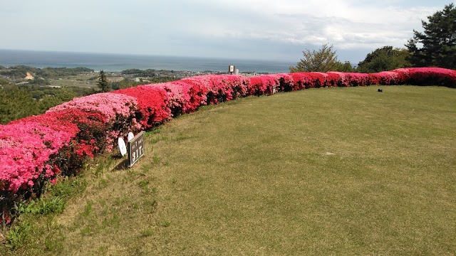 The Ocean Golf Club - Photo 5