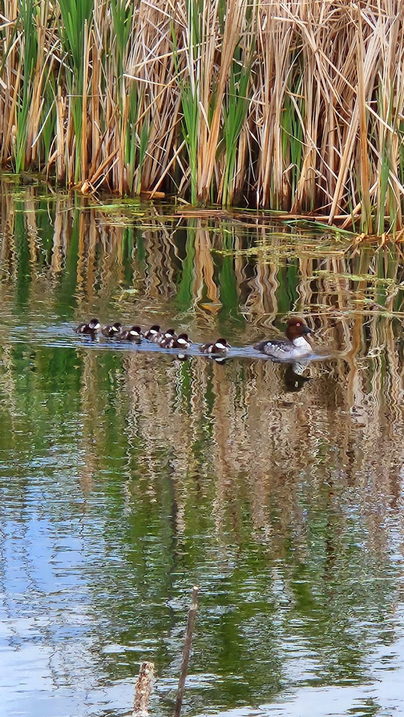 Maah Family Day Home Agency photo 3