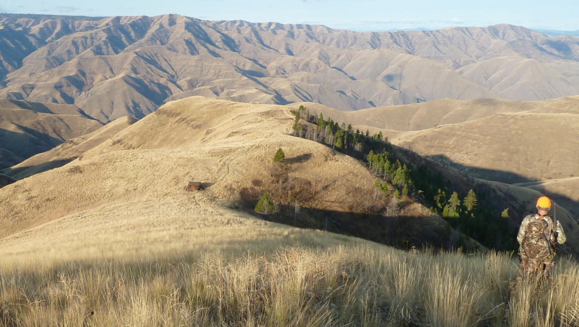 Craig Mountain Wildlife Management Area